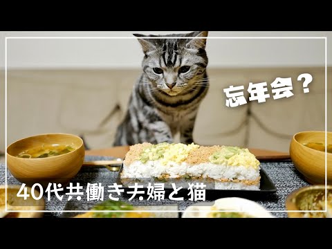 妻との忘年会にどうしても参加したい猫