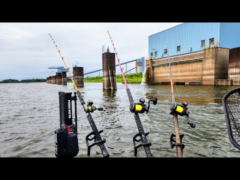 Fishing SUBMERGED ROCKS in a MASSIVE RIVER!! (Twisted Cats Tournament Prefishing)