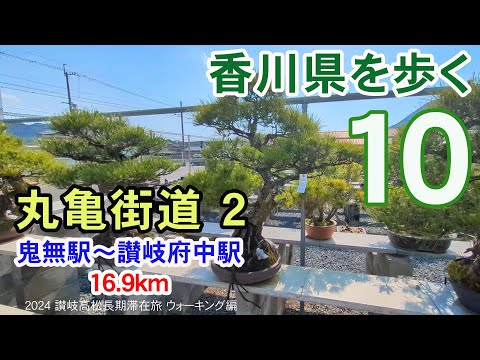 【香川県を歩く讃岐五街道】 丸亀街道２ 鬼無駅～鬼無･飯田散策～高松盆栽の郷～国分寺町～讃岐府中駅 16.9km ※高松盆栽を愛でながら歩く※ | 2024 讃岐高松長期滞在旅 ウォーキング編 #10