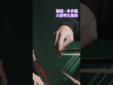 龍貓 - 多多龍大提琴五重奏#yoyo #cello #shorts