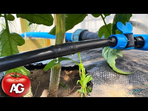 Eternal drip irrigation with your own hands! Make one for yourself