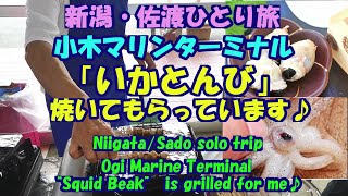 新潟・佐渡ひとり旅★「いかとんび」焼いてもらっています♪★小木マリンターミナル★・Squid Beak・Ogi Marine Terminal・Niigata/Sado solo trip