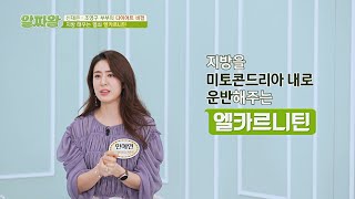 건강 다이어트 방법( •̀ω•́ )✧ 체지방 분해를 돕는 열쇠🔑 「엘카르니틴」 | TV정보쇼 알짜왕 289회 | JTBC 220922 방송