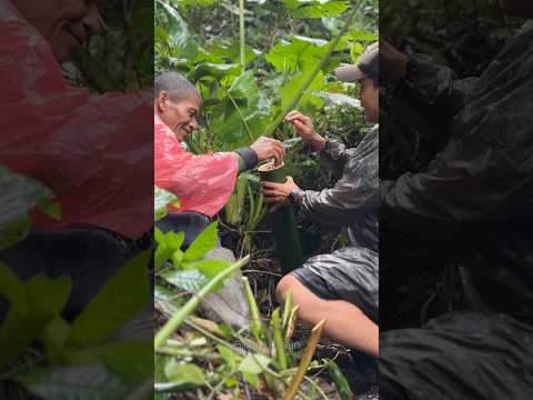 Wild Camping Heavy Rain, Fishing and Cooking Snakeheads Fish and Crabs #shorts