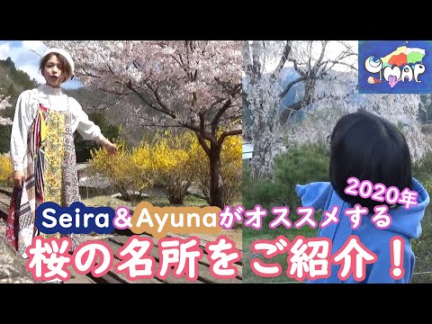 Seira＆Ayunaがオススメする 桜の名所をご紹介！2020年広島県版