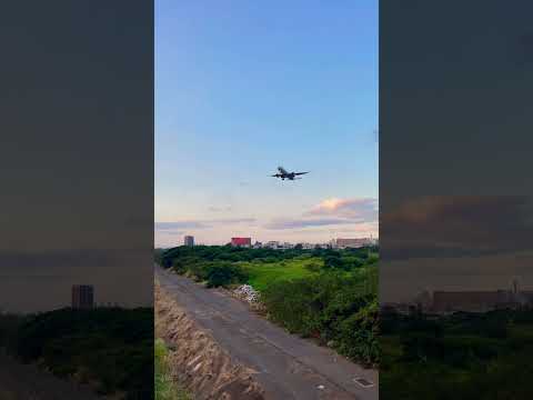 假日的午後來大園看夕陽看桃機飛機降落 #台灣 #飛機 #桃園機場 #大園