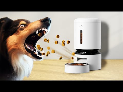 Petlibro Granary - Smart Home for My Dog?