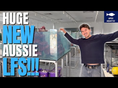 HUGE New Fish Shop in Melbourne!!!