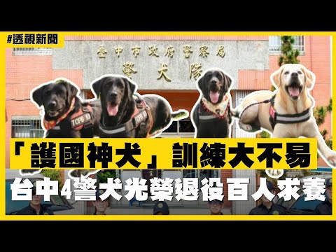 透視新聞／「護國神犬」訓練大不易　台中4警犬光榮退役百人求養－民視新聞