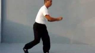 Taiwan Taichi Chuan 台灣太極拳(baosu)