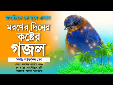 মরার পর যেদিন মসজিদে এলান করবে সেদিনের মায়াবী কষ্টের গজল || Masjider Te Hobe Elan || Alibuddin Sk