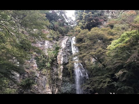 箕面の滝 (2021.11.06)