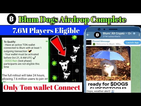 Blum New Dogs Airdrop Snapshot Complete | 7.6M Players Eligible To Airdrop | Blum New Update|