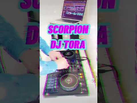 【毎日投稿】DJMIX！クラブミュージック！EDM！Alone-SCOPPION！