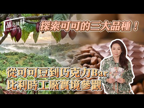 探索可可三大品種！從可可豆到巧克力Bar，到底是怎麼做成的呢？！