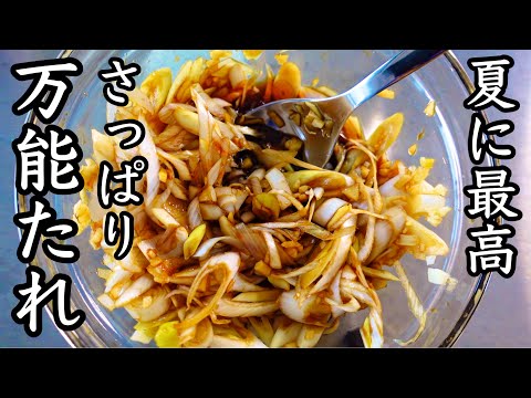 切って漬けるだけ！ヘルシー作り置き｜サッパリ香味ねぎダレ｜香味野菜で栄養をプラス！夏バテ予防に