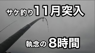 【北海道サケ釣り】11月だっ!!!プレミアムサーモンを狙え！トータル10時間耐久戦🎣