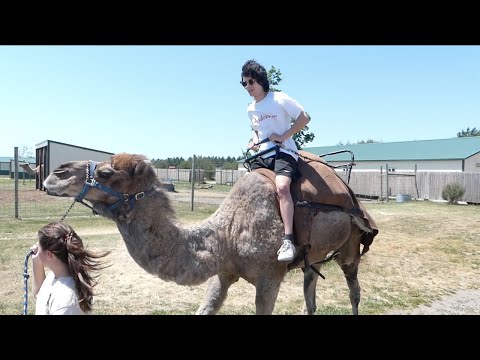 Riding a camel on my birthday!