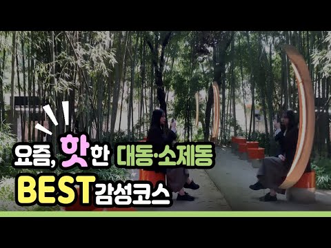 요즘 핫한, 대동 소제동 BEST  감성코스(대전 핫플 데이트 장소)