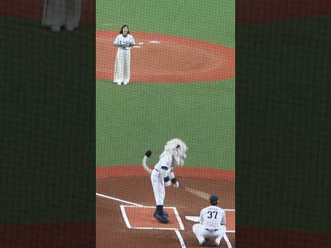 新川優愛セレモニアルピッチ #プロ野球 #ライオンズ #交流戦#ベルーナドーム