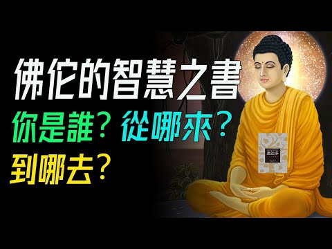 《悉達多》裡的智慧之光，佛佗的智慧之書。你是誰？從哪來？到哪去？     📚說書《悉達多》解讀  #佛教智慧 #無我思想 #生命輪迴 #業力 #涅槃 #生死解脫 #自我認知  #河流覺悟 #因果輪回