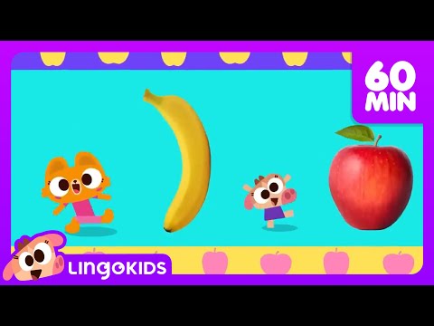 Who Took the Cookie ?🔎 🍪  + More Nursery Rhymes for Kids | Lingokids