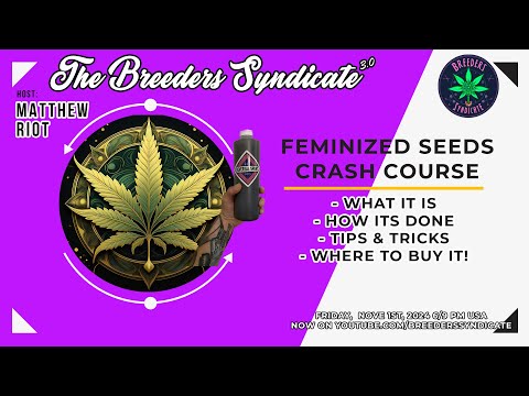 Feminized / Fem Seed Super Fast Rundown - Tips and Tricks with some Q and A from Discord