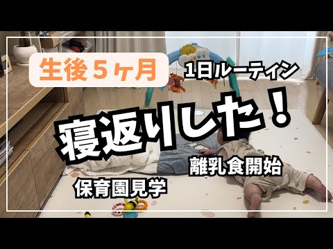 【生後5ヶ月】赤ちゃんとの1日｜寝返り｜保活｜離乳食初期