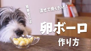 犬おやつ手作りレシピ｜手作り卵ボーロの作り方を紹介