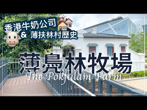 〖Hong Kong〗薄鳧林牧場 // The Pokfulam Farm in Hong Kong｜Dairy Farm Museum