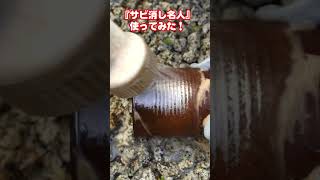 【サビ消し名人】を使ってみた！錆落とし実験動画 #shorts