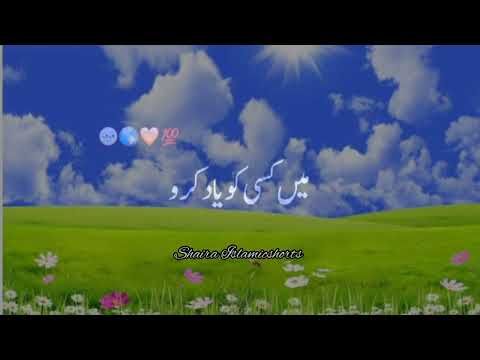 "Allah" Ki Wafa 🥀 | Islamic WhatsApp Status |