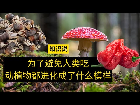 为了避免人类吃，动植物都进化成了什么模样 - 知识说