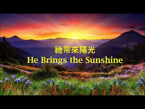 祂带來陽光 小提琴演奏版 He Brings the Sunshine Violin Cover