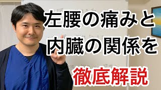 左腰の痛みと内臓の関係を徹底解説【府中 腰痛】