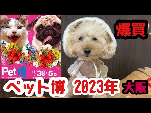 【Pet博2023 大阪会場】　行って爆買いしてきました