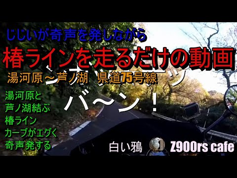 じじいが奇声を発しながら椿ラインを走るだけの動画