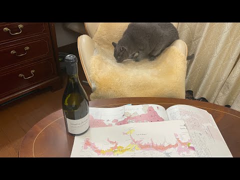 12月1日のワイン🍷は、カロリーヌ モレ シャサーニュ モンラッシェ ル シェーヌ  白