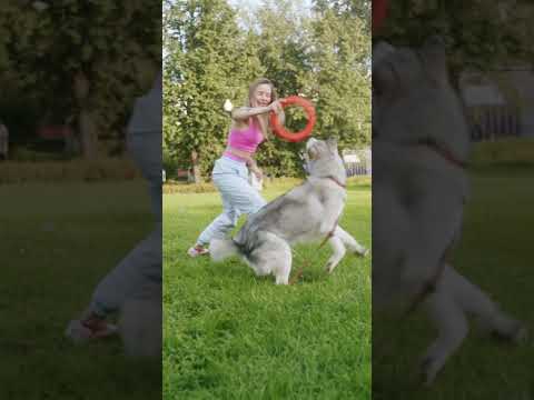 Dog playing in garden #shorts #puppy #dog