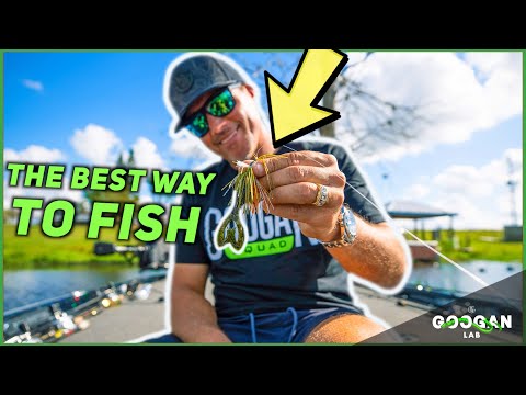 PRO Fisherman's Favorite way to fish! ( Bass Fishing Tips )