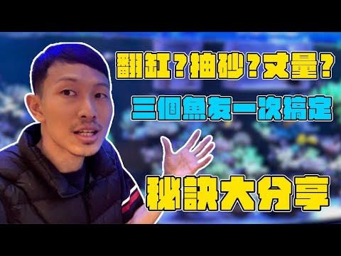 【藍箱水族】台北阿劼兩日行！三個需求一次滿足！從丈量到保養維護三個案子~一部片讓你了解我們的工作日常~