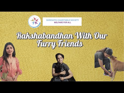 Rakshabandhan with Furry Friends | Shreshth Charitable Society | #dogs #animals #rescuedog #cow ❤️🐶🥰