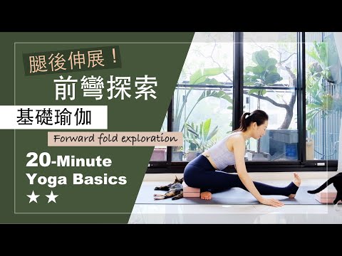 20分鐘 基礎瑜伽【前彎探索】Yoga Basics ★ ★ #腿後伸展 #久坐族 #初學者瑜珈