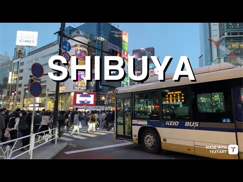 Tokyo Japan - Shibuya Crossing Area - Sunday November 27 2022 - 720p