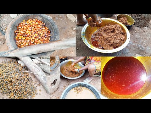 Palm Oil Processing at Home 100% by hand