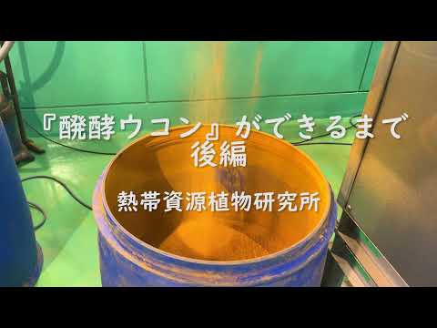 『醗酵ウコン』ができるまで（後編）