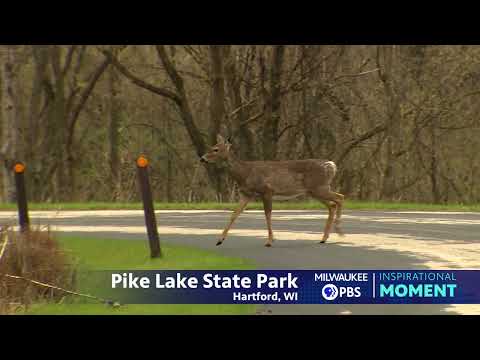 Milwaukee PBS Presents | Inspirational Moments Pike Lake State Park