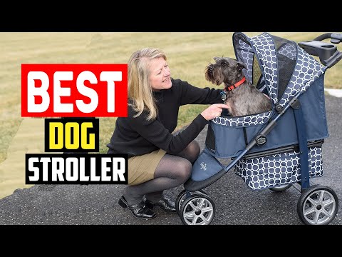 ✅Top 5 Best dog stroller in 2023