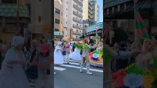 Samba Carnival Asakusa 2023 #tokyo #music #japanese #summer #brazilian #sambacarnival