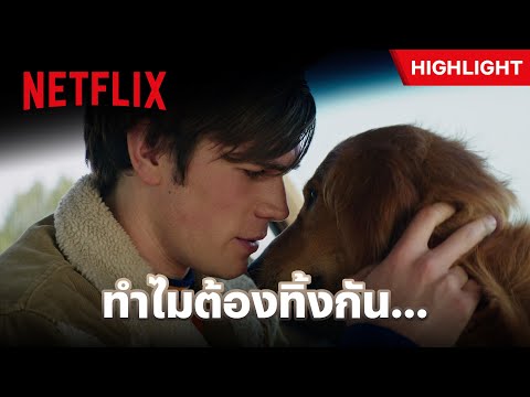 วินาทีปวดใจ เมื่อถึงเวลาที่คนกับหมาต้องห่างกัน - A Dog’s Purpose | Netflix